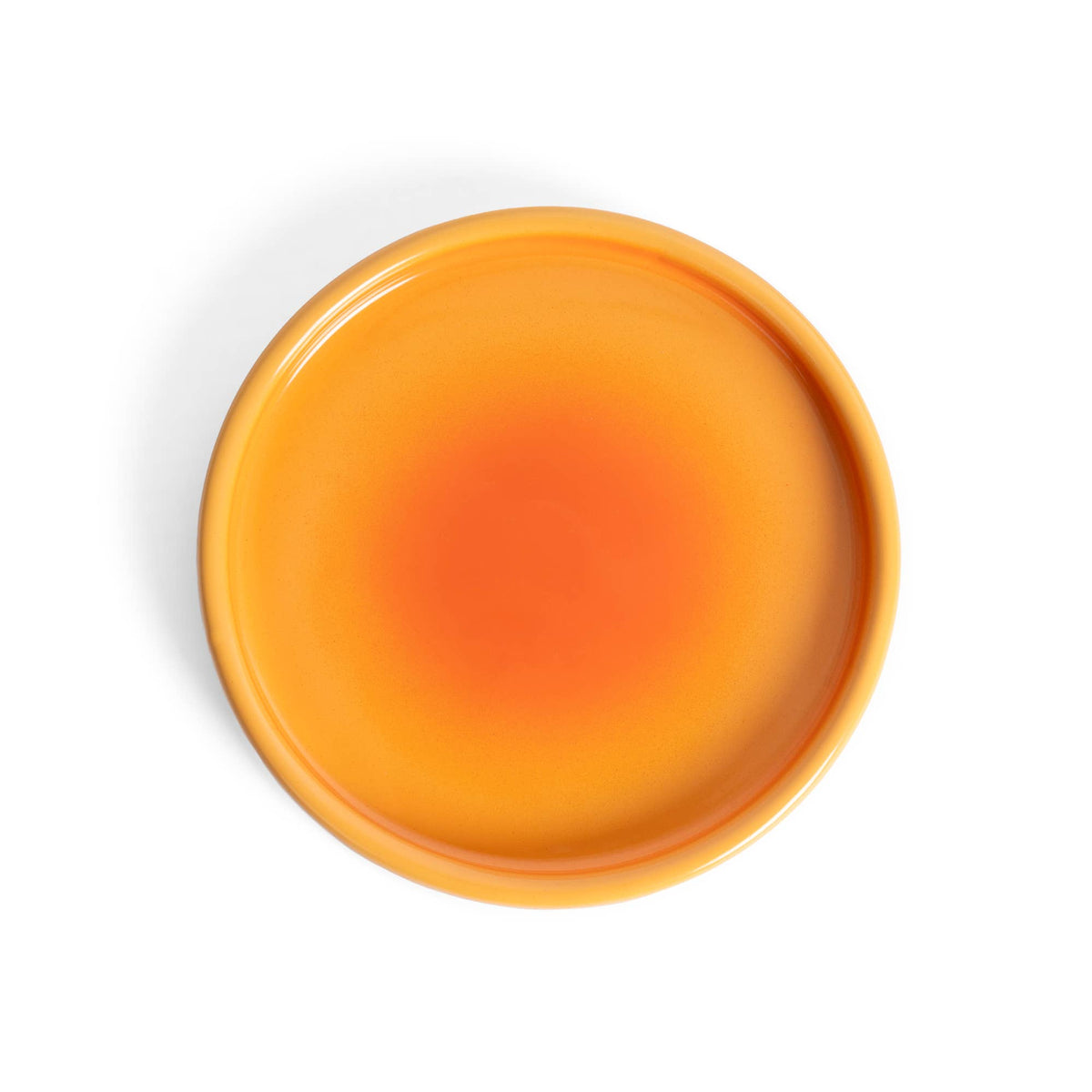 Assiette Dégradée Terre