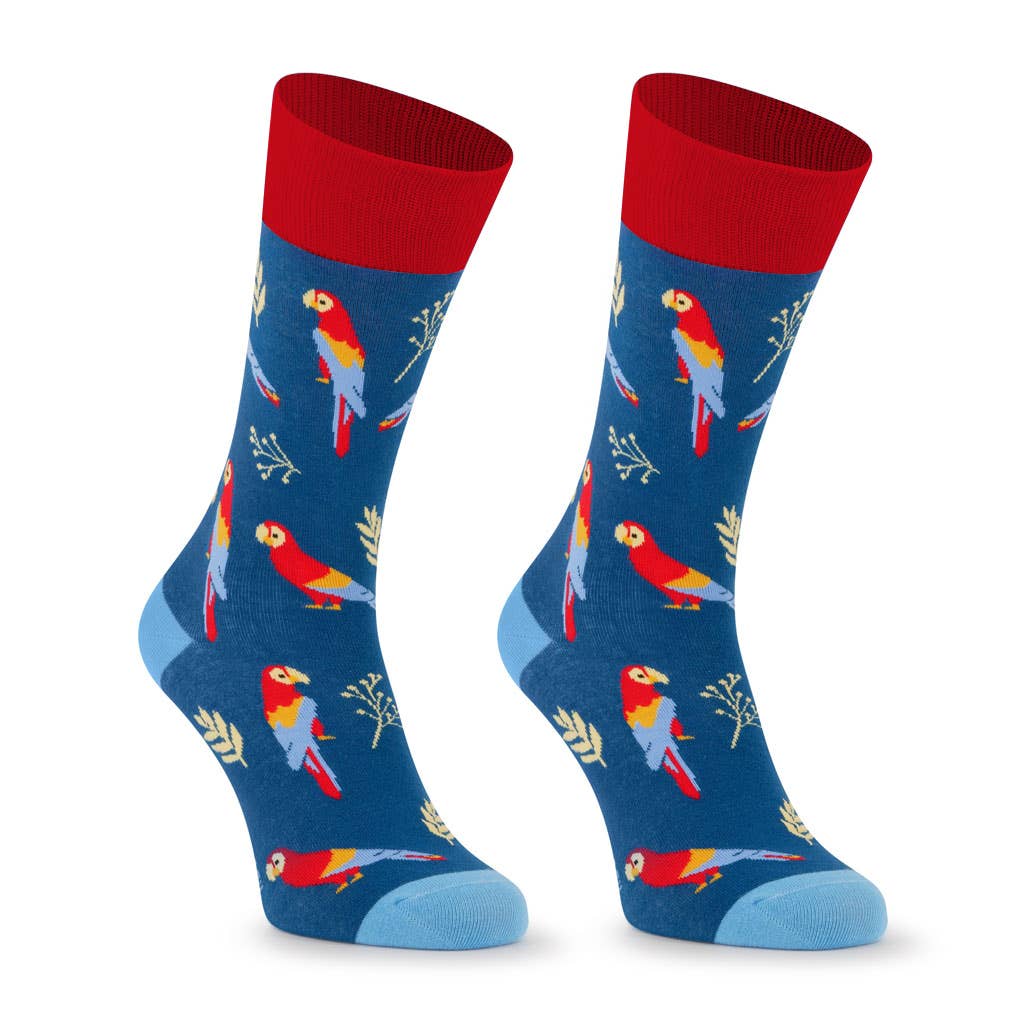 Chaussettes Perroquets « LOROS »