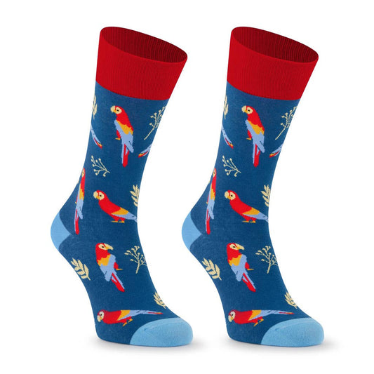 Chaussettes Perroquets « LOROS »