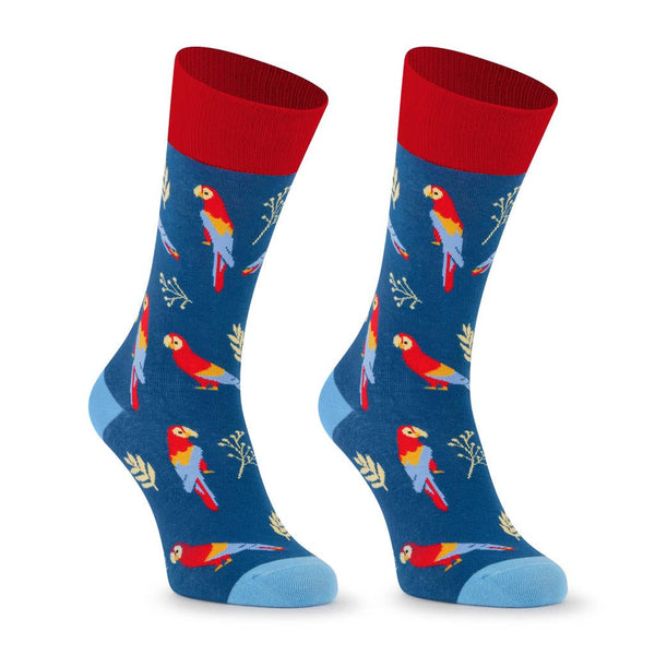 Chaussettes Perroquets « LOROS »