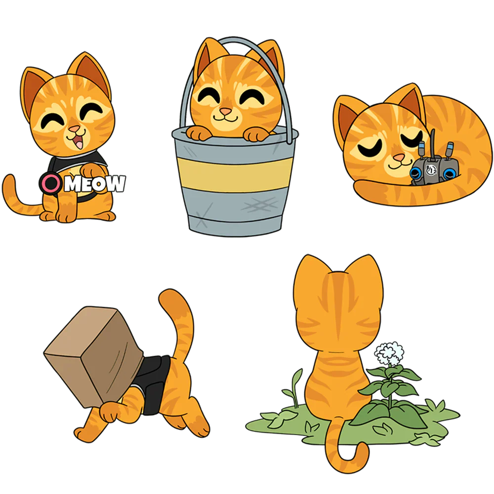 Set de 5 pin's Stray