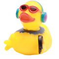 Canard Disc-jockey