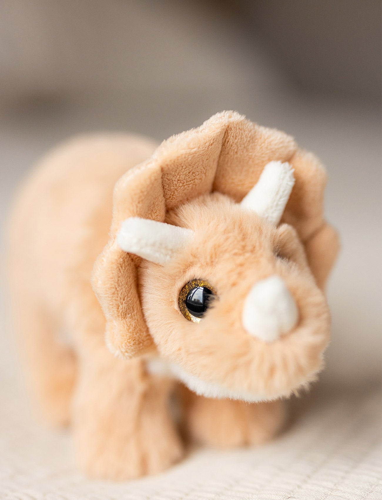 Peluche Dinosaure Triceratops – Petit – Vue 5