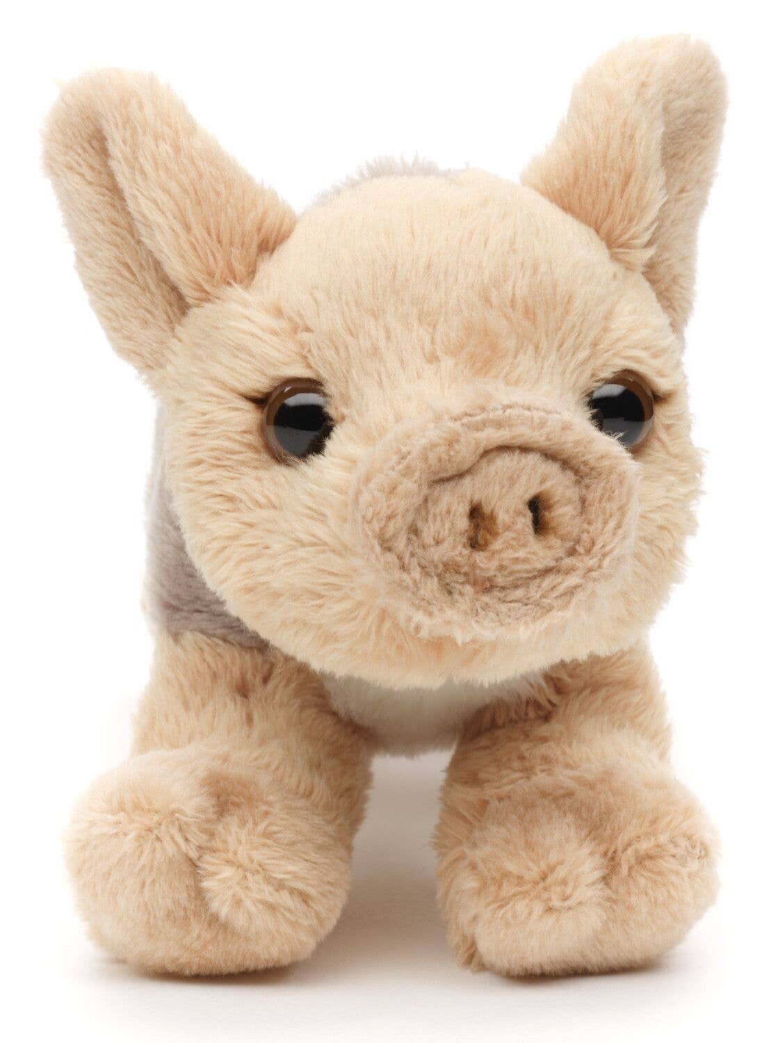 Peluche cinghiale