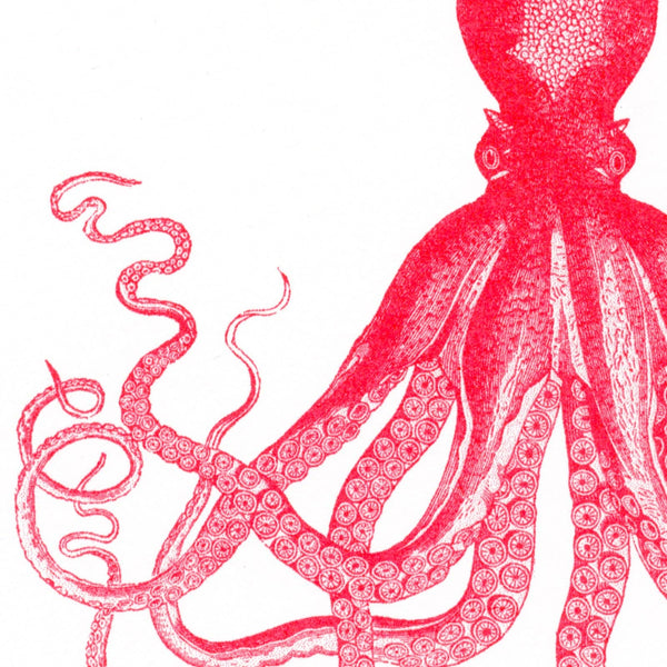 Cartolina del polpo rosso