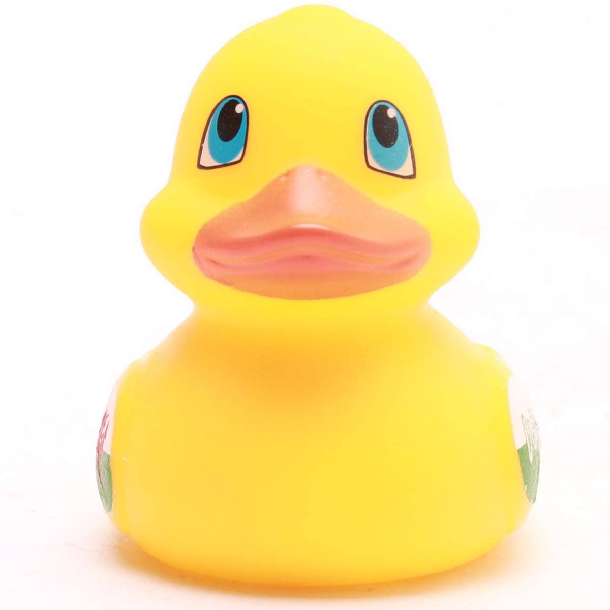 Mini Canard Pays de Galles