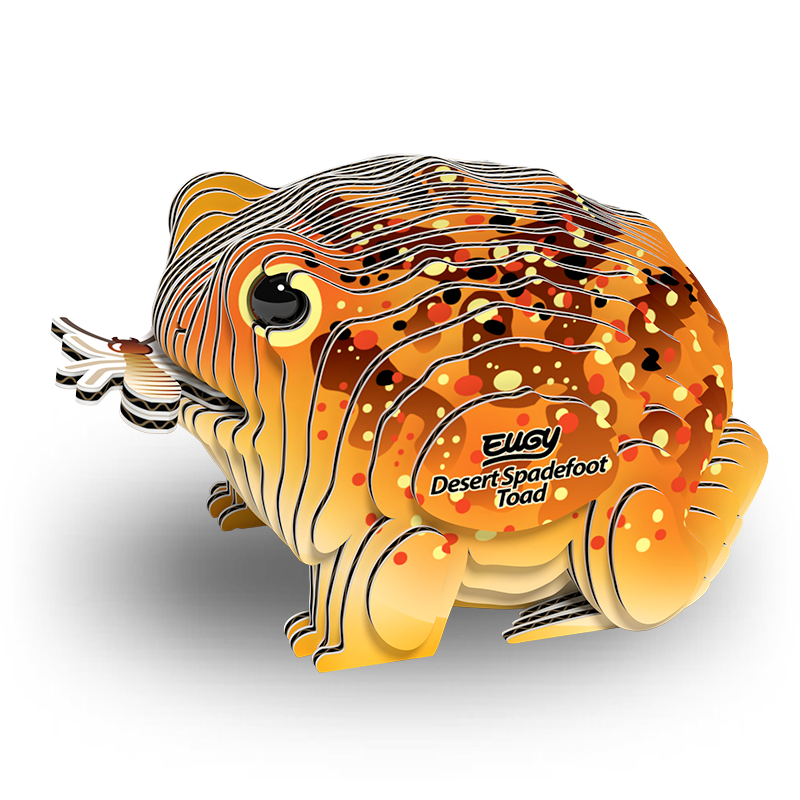 eugy 117 desert spadefoot toad