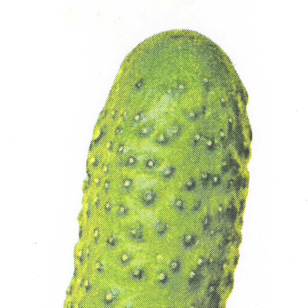 Cartolina di sottaceti