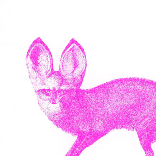 Cartolina Fennec rosa neon