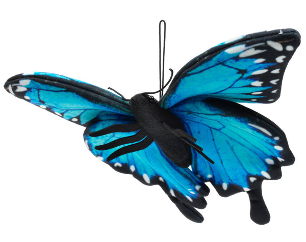 Papillon bleu (avec boucle) - 26 cm (largeur) Uni Toys