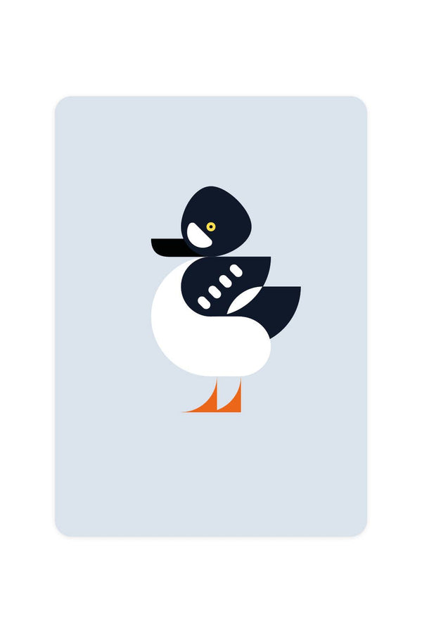 Postal con el Goldeneye de Barrow