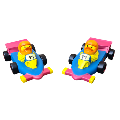 Canard Voiture de course F1