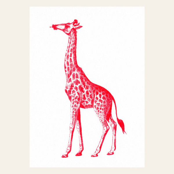 Cartolina Giraffa Rossa