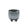 Mojave Cat Planter