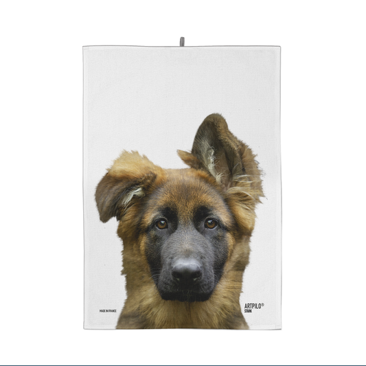 Torchon Stark the German Shepherd