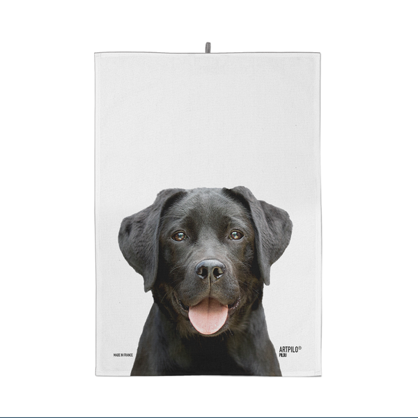 Torchon Pilou il Labrador