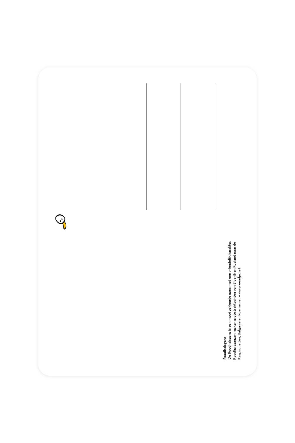 Red-breasted Goose Postcard