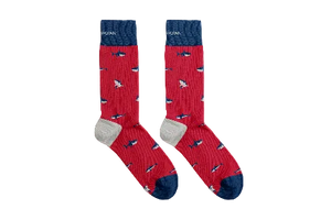 Calcetines de tiburón