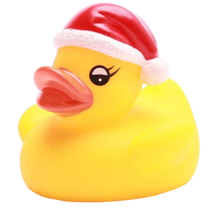 Little Christmas Duck