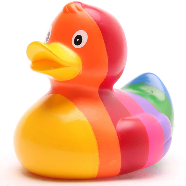 Canard Arc-en-ciel