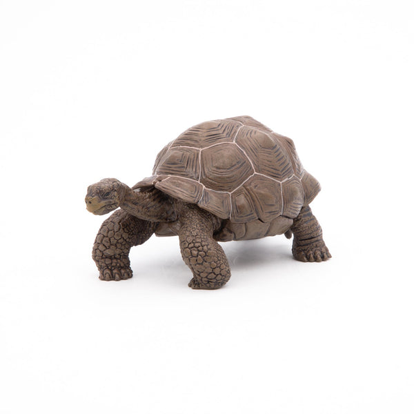 Figurine Tortue des Galápagos Papo - animal sauvage