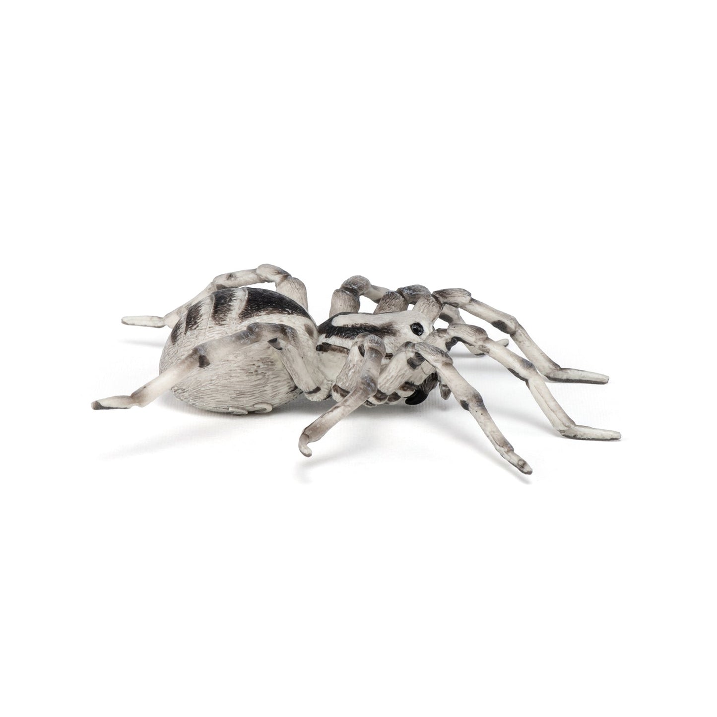 Figurine Tarentule