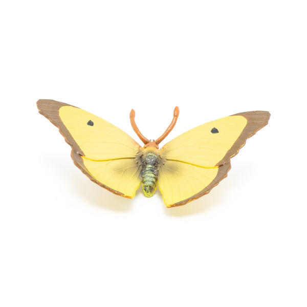 Figurine Papillon Souci Papo - animal du jardin
