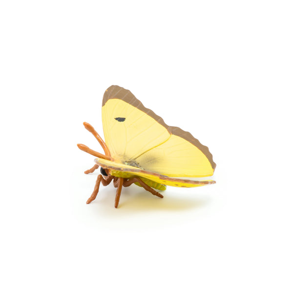 Figurine Papillon Souci Papo - animal du jardin