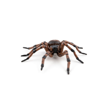 Figurine Araignée commune