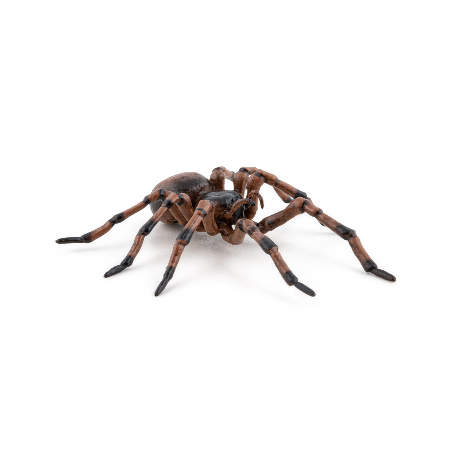 Figurine Araignée commune
