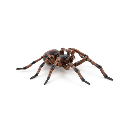 Figurine Araignée commune