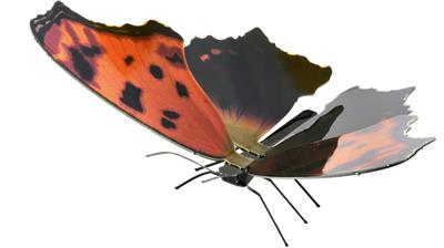 MetalEarth Papillon: EASTERN COMMA 10.2x5.7x3.2cm, maquette 3D en métal avec 1 feuille multicolore, sur carte 12x17cm, 14+