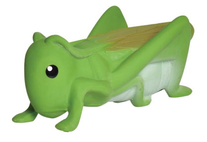 Mi primer insecto saltamontes