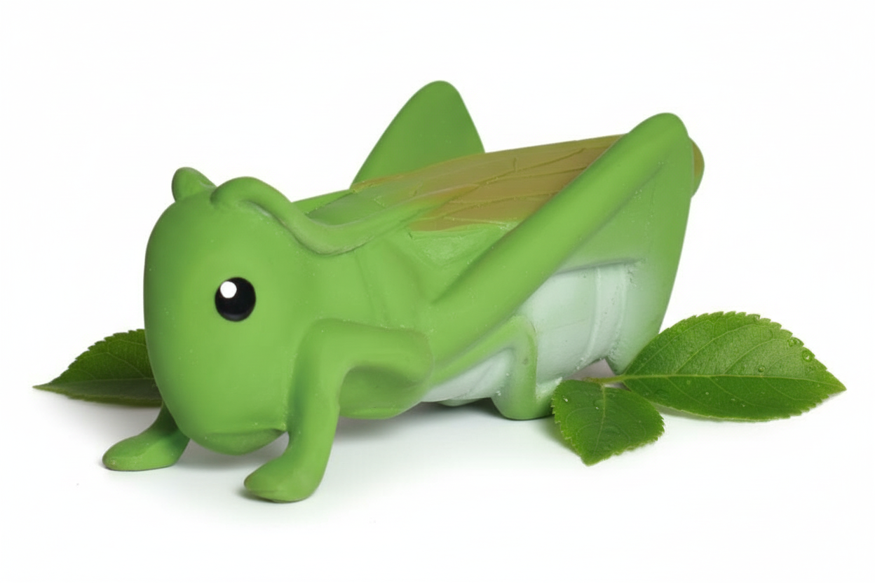 Mi primer insecto saltamontes