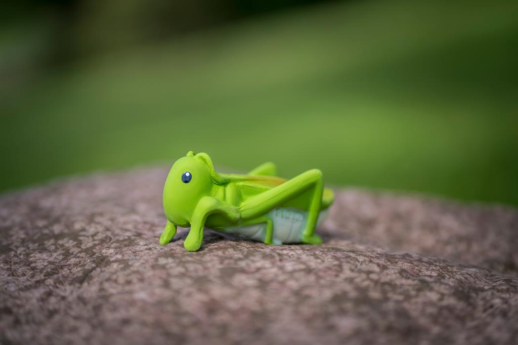 Mis primeros animales de jardín