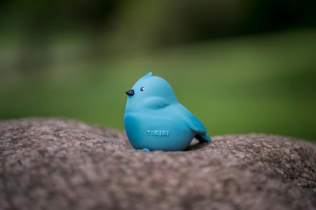Mon Premier Animal du Jardin – Oiseau