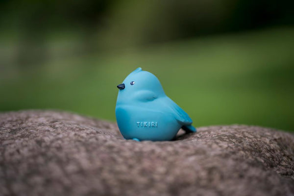 Il mio primo uccello animale da giardino