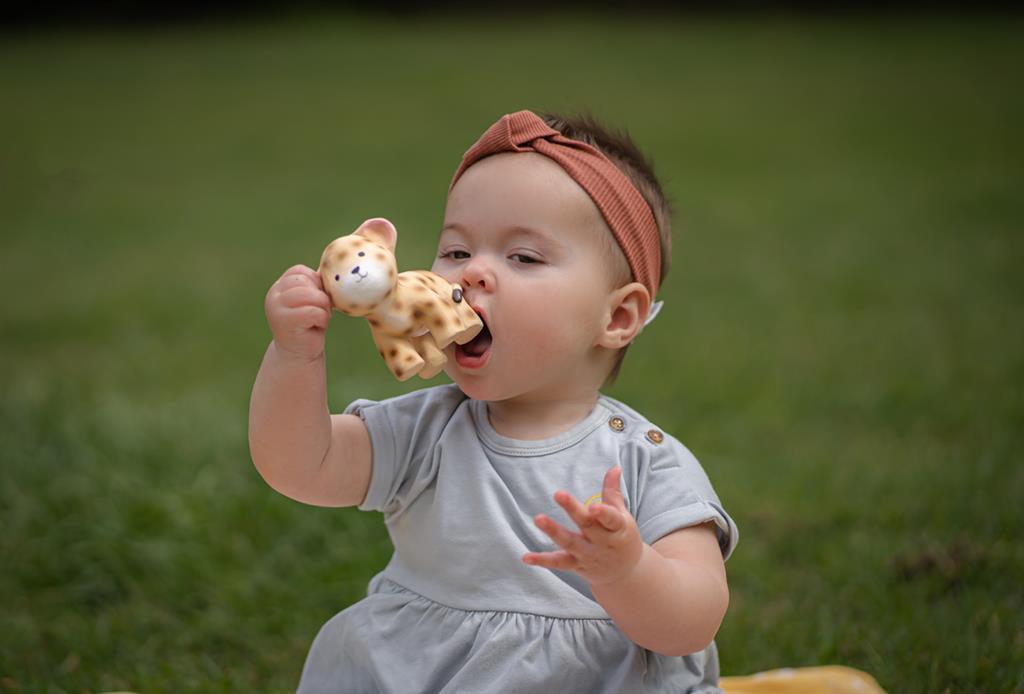 mon premier animal safari leopard tikiri 