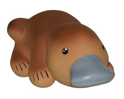 Ornithorynque