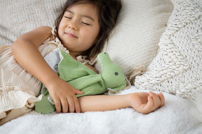 Crocodile Comforter with Teething Support