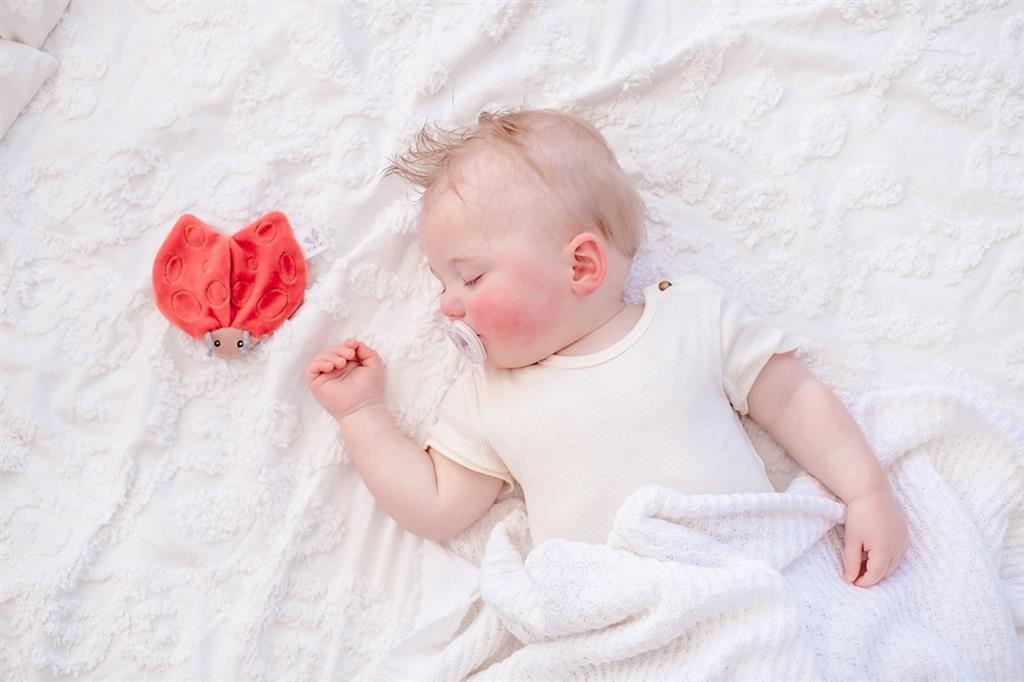 Jouet à Froisser Doudou Coccinelle