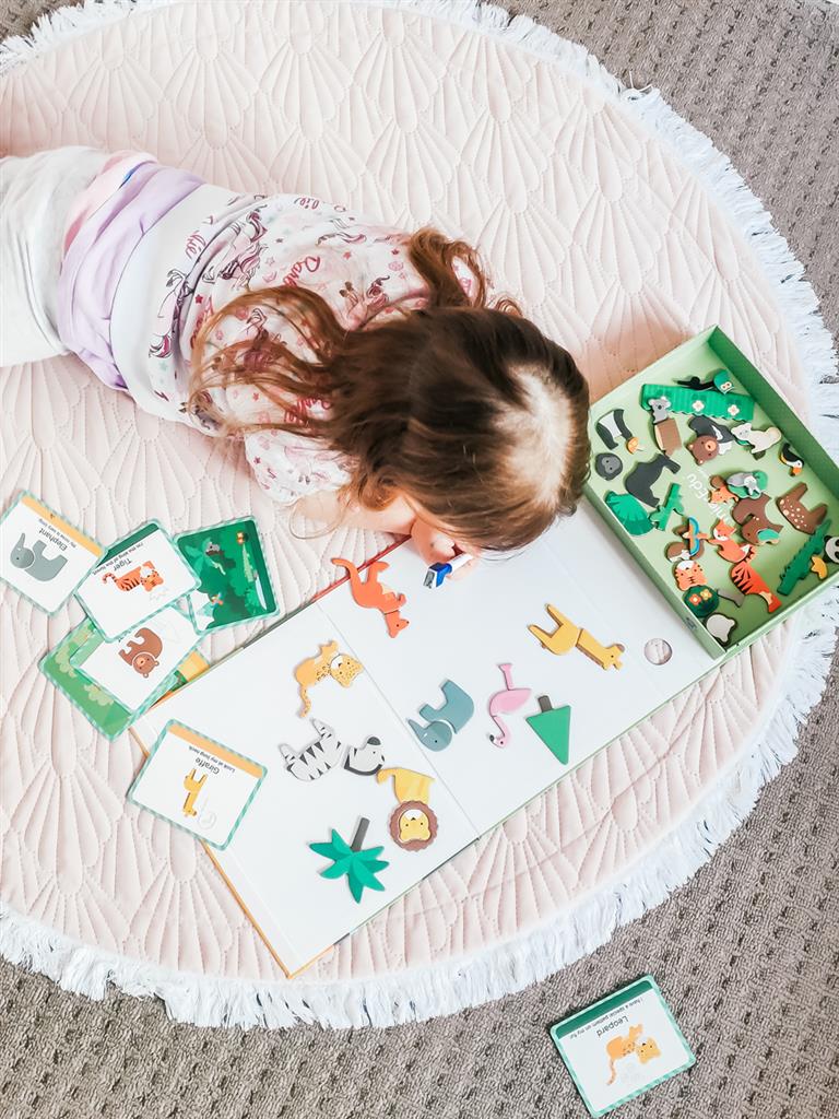 Libro magnético: El mundo animal