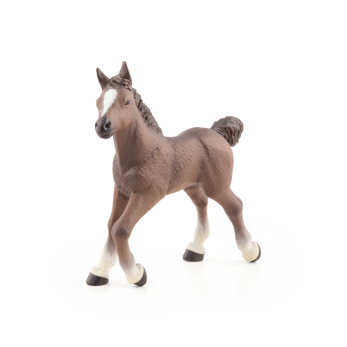 Figurine Poulain anglo-arabe