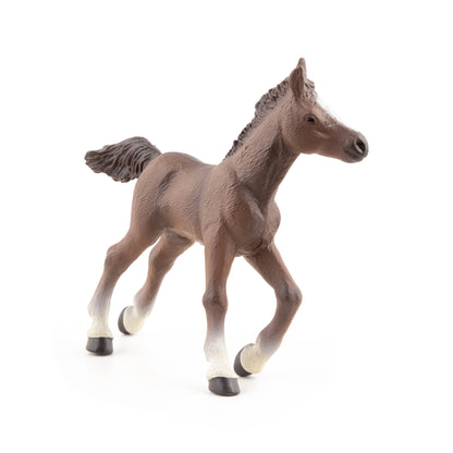 Figurine Poulain anglo-arabe
