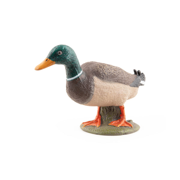 Figurine Canard colvert Papo - animal de la ferme