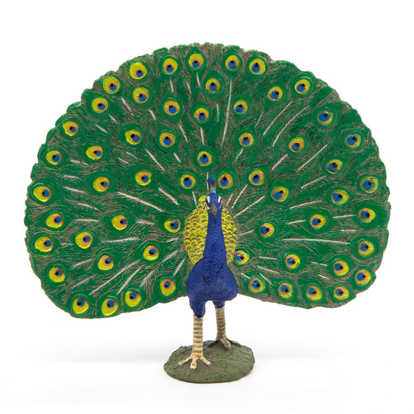 Figurine Paon Papo - animal de la ferme