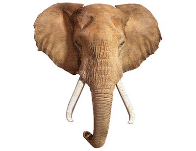 Puzzle do elefante