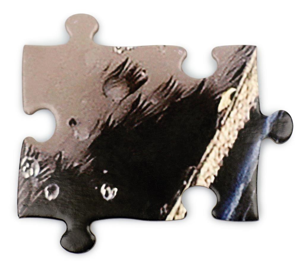 Rompecabezas del pingüino