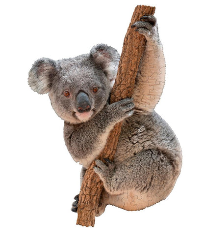 Puzzle Koala