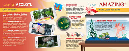 Rompecabezas del ajolote